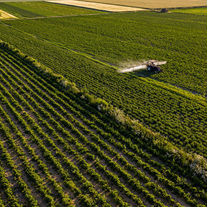 農業(yè)大棚溫濕度監(jiān)控系統(tǒng)的升級方案有幾種呢？